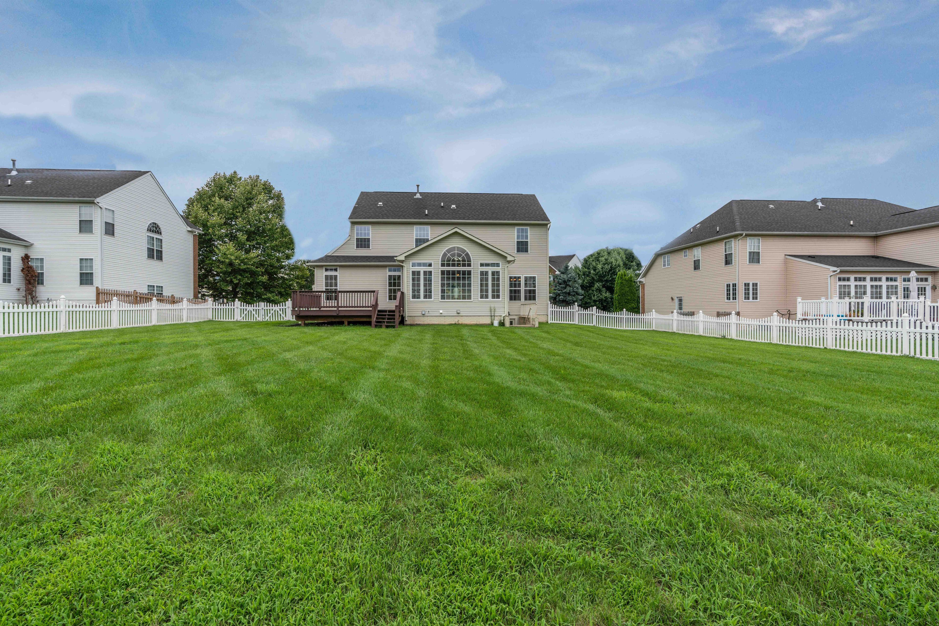 Grass & Clean Landscape